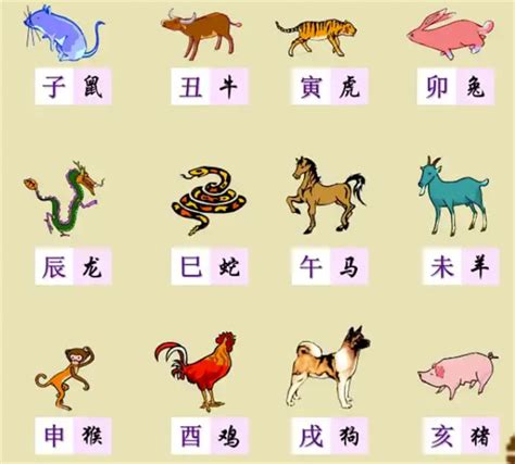 生肖牛|【十二生肖年份】12生肖年齡對照表、今年生肖 